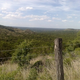 Image for article titled Shooting Challenge: Cellphone Gallery Part 5